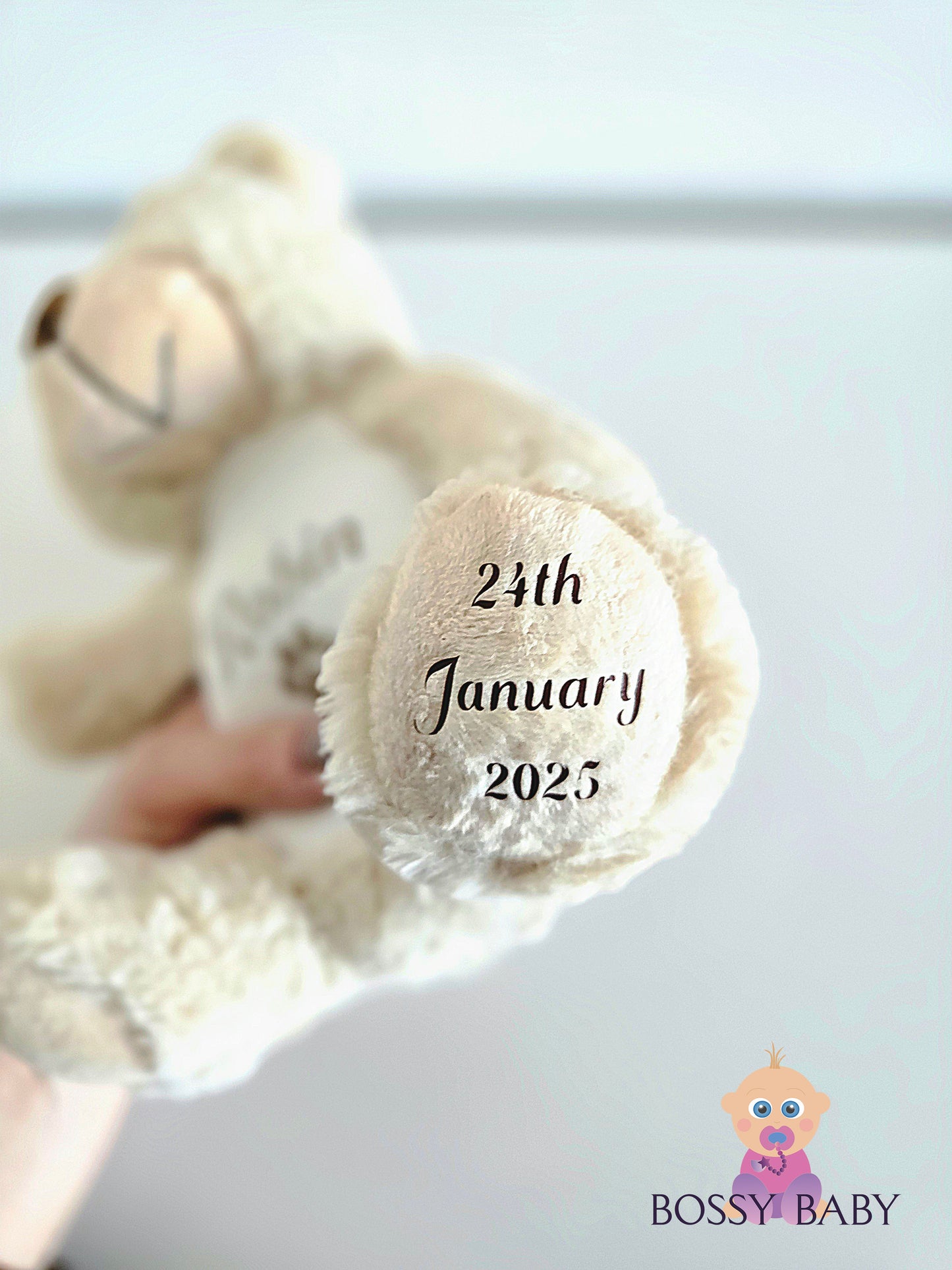 Personalised Teddy Bears